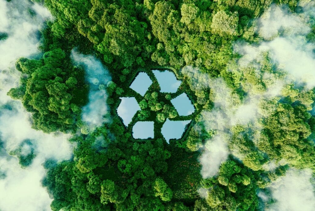 Wald für Nachhaltigkeit von E-Auto Batterie Recycling