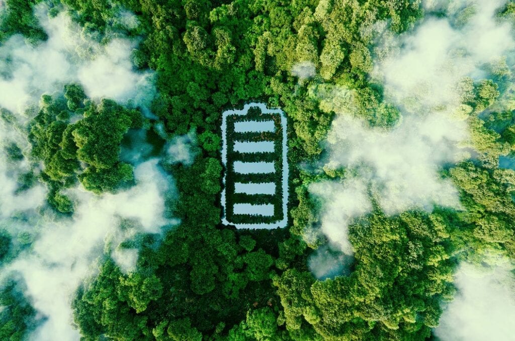 Wald für E-Auto-Batterie Entsorgung